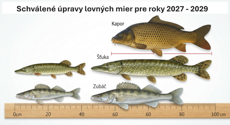 MINIMÁLNE A MAXIMÁLNE LOVNÉ MIERY 2027-2029